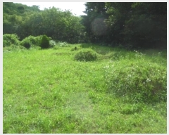  2022Ÿ54182 泲  ̸ Žø 262-2      (1)