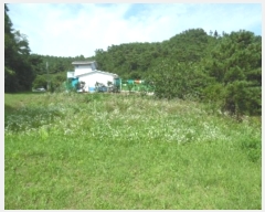  2022Ÿ54182 泲  ̸ Žø 262-2      (1)