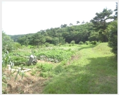  2022Ÿ54182 泲  ̸ Žø 262-2      (1)