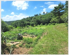  2022Ÿ54182 泲  ̸ Žø 262-2      (1)