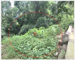  2022Ÿ��54946 �泲 ������ �մ��� ��긮 295-10      ����(����)���