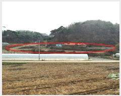  2022Ÿ57310 泲 ¾ȱ ȸ ¾ 2364      ()