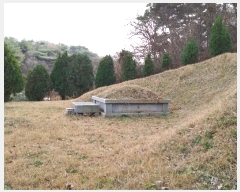  2022Ÿ57310 泲 ¾ȱ ȸ ¾ 2364      ()