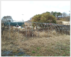  2022Ÿ57310 泲 ¾ȱ ȸ ¾ 2364      ()