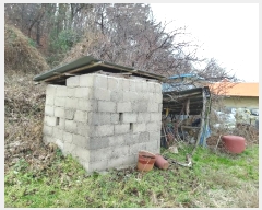  2022Ÿ57310 泲 ¾ȱ ȸ ¾ 2364      ()