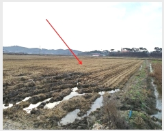  2022Ÿ57310 泲 ¾ȱ ȸ ¾ 2364      ()