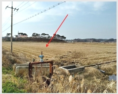  2022Ÿ57310 泲 ¾ȱ ȸ ¾ 2364      ()