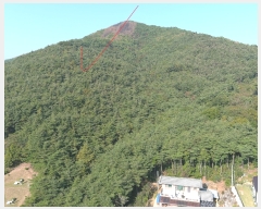  2022Ÿ��3610 �泲 ����� ���� ��ǳ�� ��60-1      ����(�Ӿ�)���