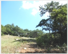  2022Ÿ��3610 �泲 ����� ���� ��ǳ�� ��60-1      ����(�Ӿ�)���