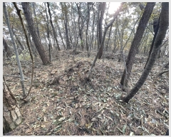  2022Ÿ��4040 �泲 �¾ȱ� �ҿ��� ������ ��140-1      ����(�Ӿ�)���