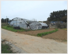  2022Ÿ��4040 �泲 �¾ȱ� �ҿ��� ������ ��140-1      ����(�Ӿ�)���