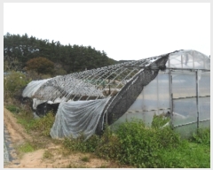  2022Ÿ��4040 �泲 �¾ȱ� �ҿ��� ������ ��140-1      ����(�Ӿ�)���