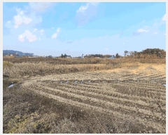  2022Ÿ��56591  �Ӿ߰��