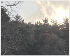  2022Ÿ��56591  �Ӿ߰��