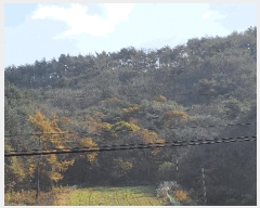  2022Ÿ��56591 �泲 �¾ȱ� �̿��� ������ ��75      ����(�Ӿ�)���