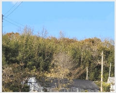  2022Ÿ��56591 �泲 �¾ȱ� �̿��� ������ ��75      ����(�Ӿ�)���