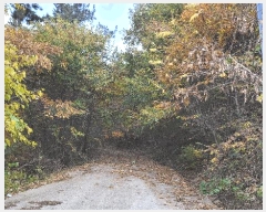  2022Ÿ��56591  �Ӿ߰��