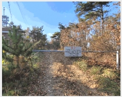  2022Ÿ��56591  �Ӿ߰��