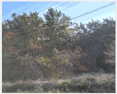  2022Ÿ��56591  �Ӿ߰��