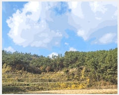  2022Ÿ��56591  �Ӿ߰��