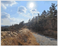  2022Ÿ��56591  �Ӿ߰��