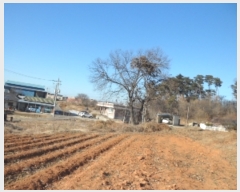  2022Ÿ��31 �泲 ������ �۾��� ���븮 ��26-4      ����(�Ӿ�)���