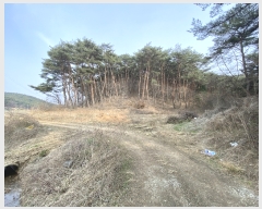  2022Ÿ��51251 �泲 �¾ȱ� �ȸ��� ���縮 906      ����(��1)���