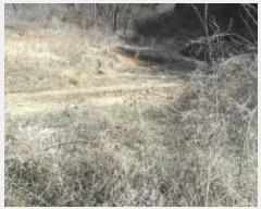  2022Ÿ��51251 �泲 �¾ȱ� �ȸ��� ���縮 906      ����(��1)���