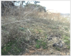  2022Ÿ��51251 �泲 �¾ȱ� �ȸ��� ���縮 906      ����(��1)���