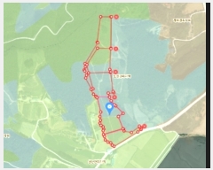  2022Ÿ3924 泲 ¾ȱ ̿ 긮 52-1      (Ӿ)