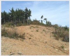  2022Ÿ3924 泲 ¾ȱ ̿ 긮 52-1      (Ӿ)