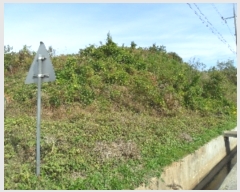  2022Ÿ3924 泲 ¾ȱ ̿ 긮 52-1      (Ӿ)