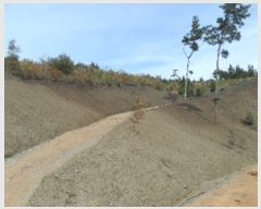  2022Ÿ3924 泲 ¾ȱ ̿ 긮 52-1      (Ӿ)