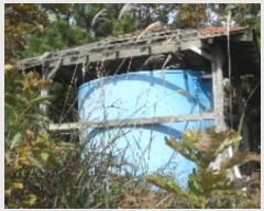  2022Ÿ3924 泲 ¾ȱ ̿ 긮 52-1      (Ӿ)