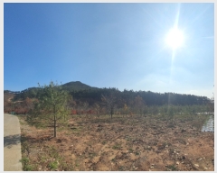  2022Ÿ��57013 �泲 ����� �Ⱥ��� ���帮 ��144-1      ����(�Ӿ�)���