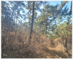  2022Ÿ��57013 �泲 ����� �Ⱥ��� ���帮 ��144-1      ����(�Ӿ�)���