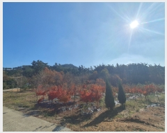  2022Ÿ��57013 �泲 ����� �Ⱥ��� ���帮 ��144-1      ����(�Ӿ�)���