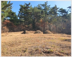  2022Ÿ��57013 �泲 ����� �Ⱥ��� ���帮 ��144-1      ����(�Ӿ�)���