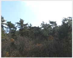  2022Ÿ��57013 �泲 ����� �Ⱥ��� ���帮 ��144-1      ����(�Ӿ�)���