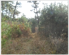  2022Ÿ��57013 �泲 ����� �Ⱥ��� ���帮 ��144-1      ����(�Ӿ�)���