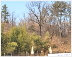  2022Ÿ119343 뱸  λ굿 612-14       (Ӿ)