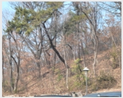  2022Ÿ119343 뱸  λ굿 612-14       (Ӿ)