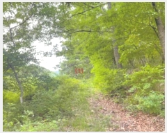  2022Ÿ109742   õ ż 109-2      (1)