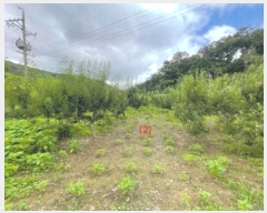  2022Ÿ109742   õ ż 109-2      (1)