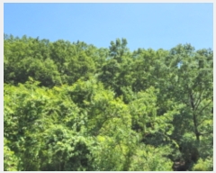  2022Ÿ109742   õ ż 109-2      (1)