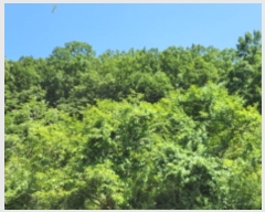  2022Ÿ109742   õ ż 109-2      (1)