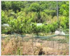  2022Ÿ109742   õ ż 109-2      (1)