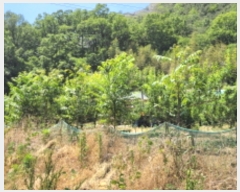  2022Ÿ109742   õ ż 109-2      (1)