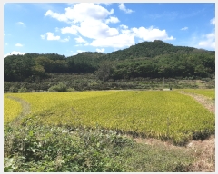  2022Ÿ��115235  ����