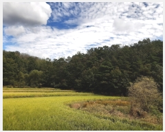  2022Ÿ��115235  ����